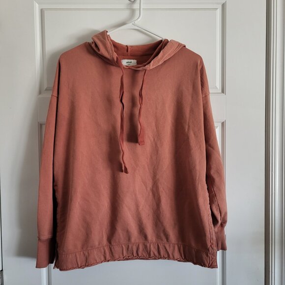 American Eagle Sunwashed Desert Hoodie in Canyon Clay - Picture 2 of 6